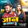 About Jaan I'm Sorry Re Song