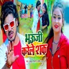 About Bhauji Karele Sak Song