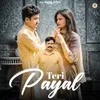 About Teri Payal Song