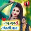 About Janu mhari thodgi bada Song