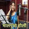 About Malpua Holi Song