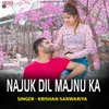 About Najuk dil majnu ka Song