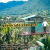 About Neenirada Jeevana Song