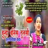 About Vrinda Banis Tulsi Song