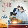 About Zaruri Ae (Jee Ve Sohneya Jee) Song
