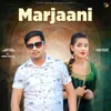 About Marjaani Song