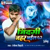 About Zindagi Jahar Bhail 0.2 Song