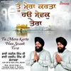 About Tu Mera Karta Hau Sewak Tera Song