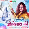 About Pagli Bholenath Ki - Remix Song