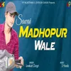 About Sawai Madhopur Wale Song