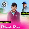 About Dilkhudh Reni Song
