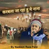 About Karbala Ja Raha Hoon Main Nana Song