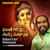 About Palani Giri Painunna Song