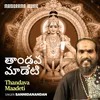 About Thandava Maadeti Song