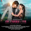 About Dil Chura Liya Song