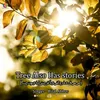 About Tree Also Has Stories Song