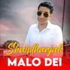 About Shardhanjali Malo Dei Song