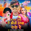 About Bhagal Jaichai Bhauji Rangwa Feke Re Song