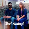 Meri Zindagi