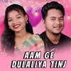 About AAM GE DULALIYA TINJ Song