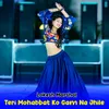 About Teri Mohabbat Ko Gam Na Jhile Song