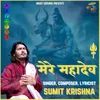 About Mere Mahadev Song