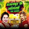 About Bhagalpur Ki Galiyan Bada Chakar Song