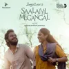 About SAALAIYIL MEGANGAL Song