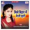 About Mile Bihar Me Krezi Fruti Song
