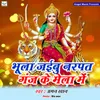 About Bhula Jaibu Narpatganj Ke Mela Me Song