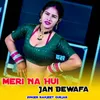 About Meri Na Hui Jan Bewafa Song
