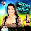 About Biyaya Vali Thari Smart Aakhya Roj Mare Song