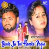 About Bhule Ja Tui Hamke Pagla Song
