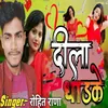 About Dila Dhadake Song