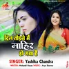 About Dil Todne Me Mahir Ho Gaya Hai Song