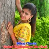 About Gurjari Jhodhpuriya Me Chali Song