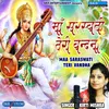 About Maa Saraswati Teri Vandna Song