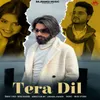 About Tera Dil Song