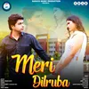 Meri Dilruba