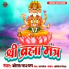 About Shree Brahma Mantra Song
