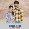 About CHETA TERA Song