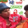 About Teri Bhabhi Jannat Ki Si Hoor Hai Song