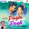 About PAGLA PAGLI Song