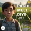 About Pakhi Meli Diye Lofi Song