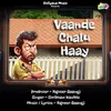 About Vaande Chalu Haay Song