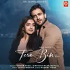 About Tere Bin… Song