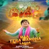 About Maa Tera Mandha Lagda Song