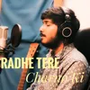About Radhe Tere Charno ki Song