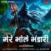 About Mere Bhole Bhandari Song