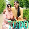 About Tene Mero Dil Todo Song